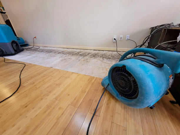 Professional Sewage Cleanup technician working in Van Vleck, TX